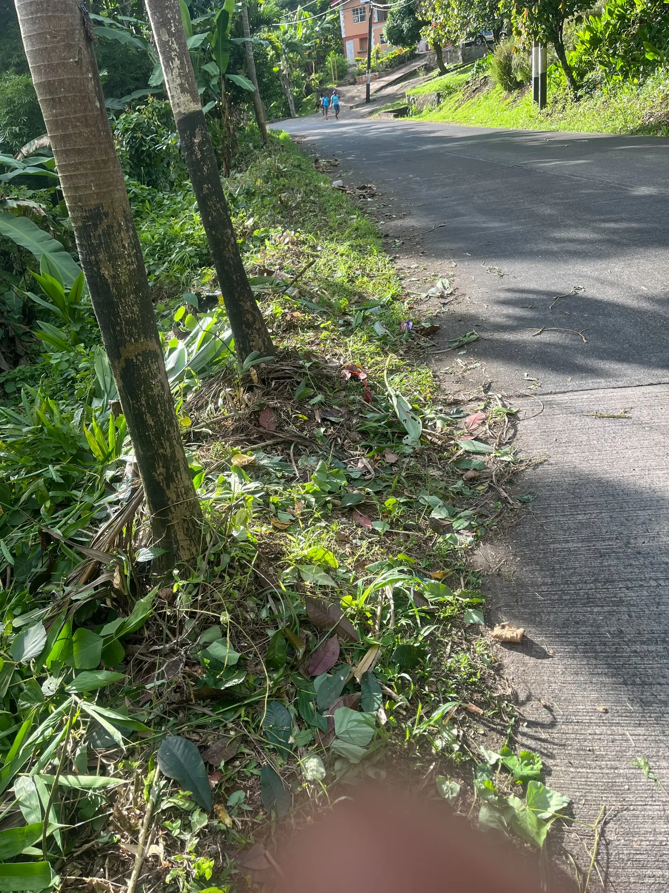Yard & Grounds Cleanup by TheHomeownerBoys