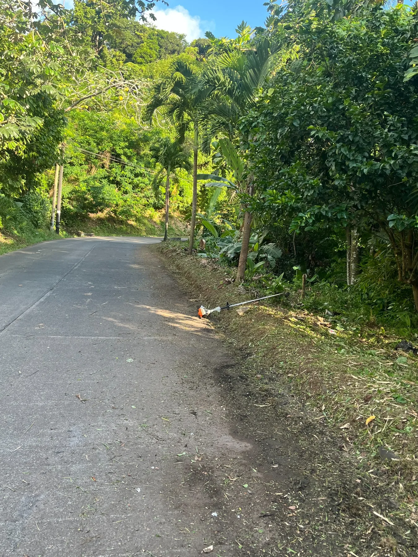 Roadside Grounds Maintenance by TheHomeownerBoys
